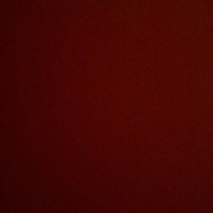 Meet your Posher, Delanie